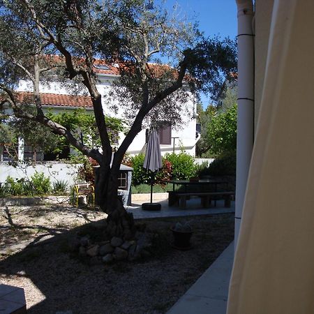 Apartments Olea Pinezići Dış mekan fotoğraf