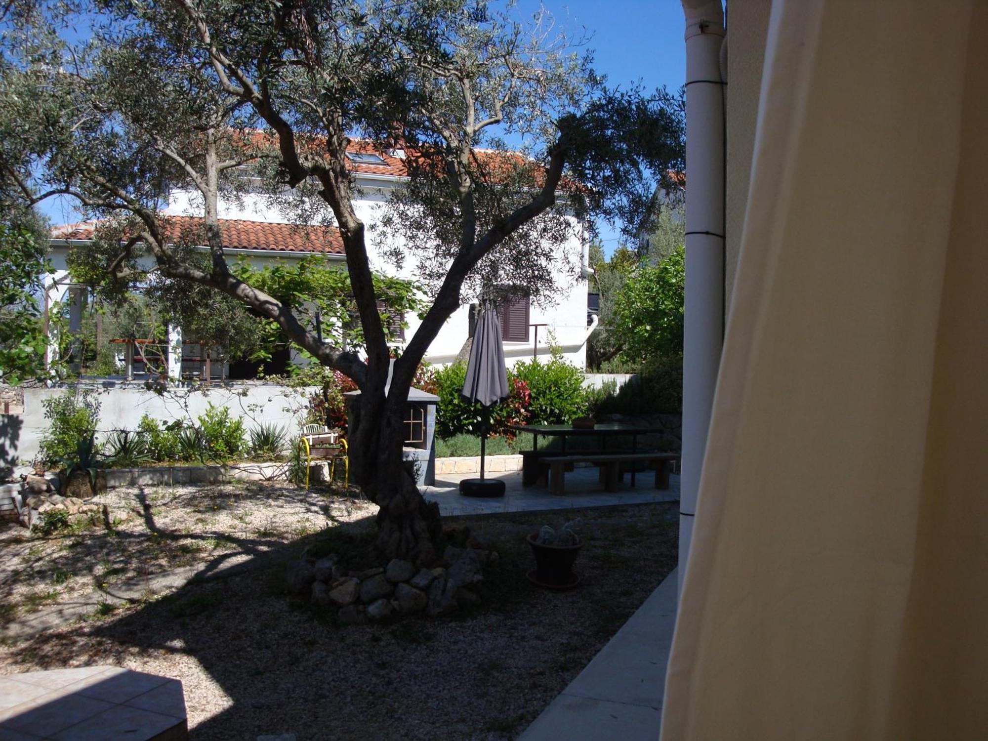 Apartments Olea Pinezići Dış mekan fotoğraf