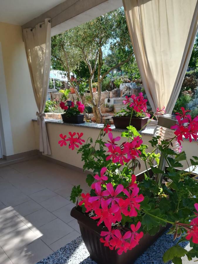 Apartments Olea Pinezići Dış mekan fotoğraf