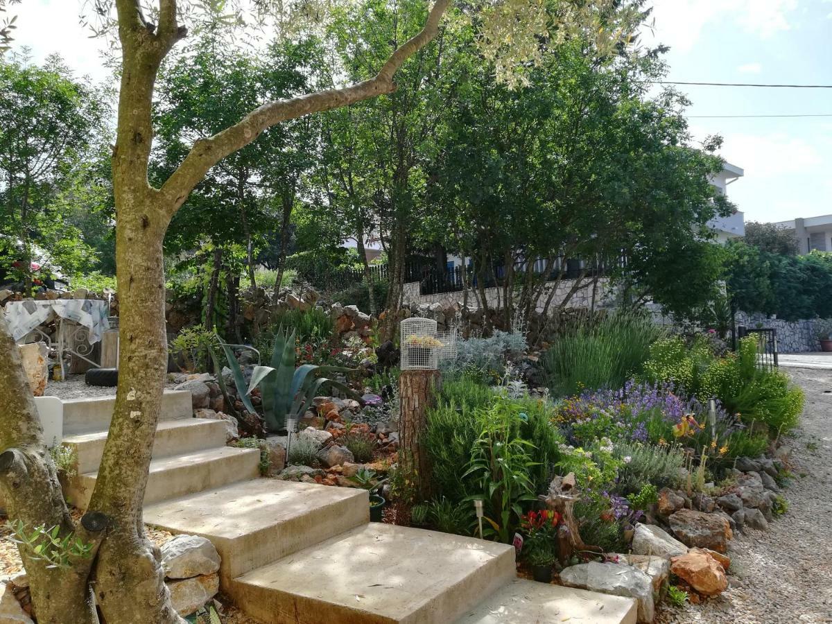 Apartments Olea Pinezići Dış mekan fotoğraf